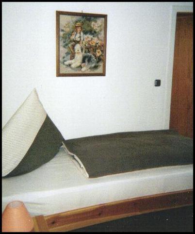 Pension Deimel Hallenberg Extérieur photo